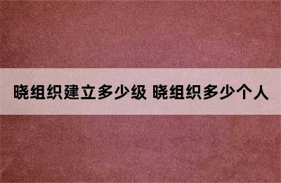 晓组织建立多少级 晓组织多少个人